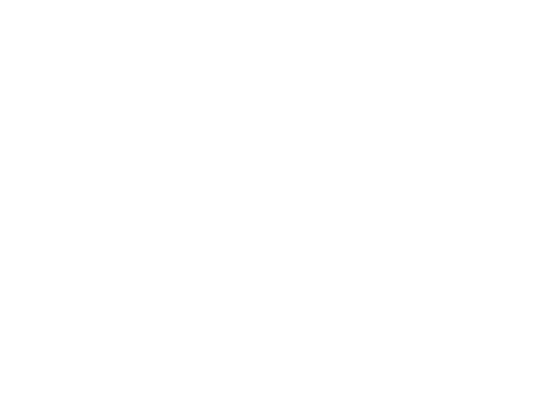 icon market